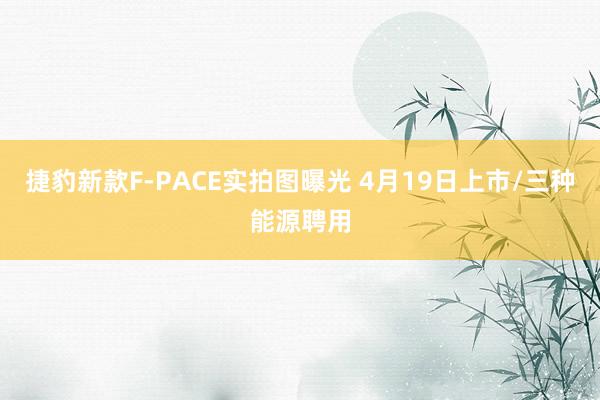 捷豹新款F-PACE实拍图曝光 4月19日上市/三种能源聘用