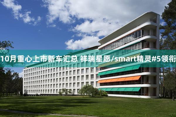 10月重心上市新车汇总 祥瑞星愿/smart精灵#5领衔