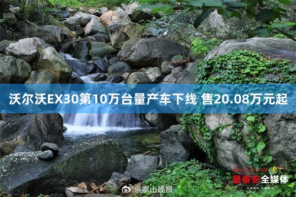 沃尔沃EX30第10万台量产车下线 售20.08万元起