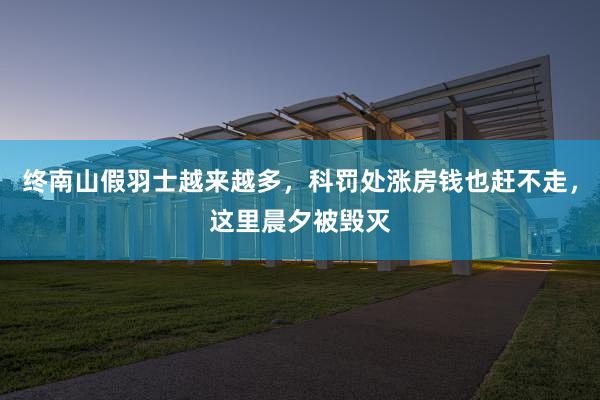 终南山假羽士越来越多，科罚处涨房钱也赶不走，这里晨夕被毁灭