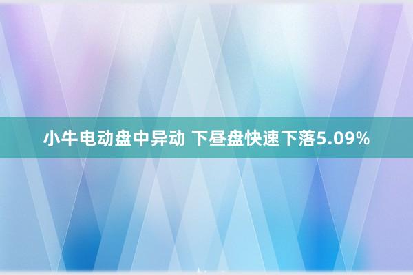 小牛电动盘中异动 下昼盘快速下落5.09%