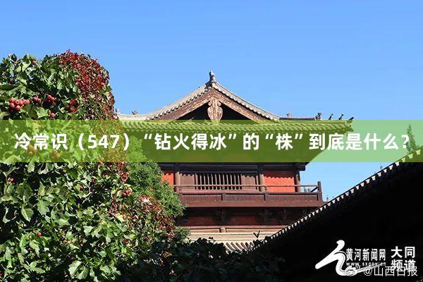 冷常识（547）“钻火得冰”的“株”到底是什么？