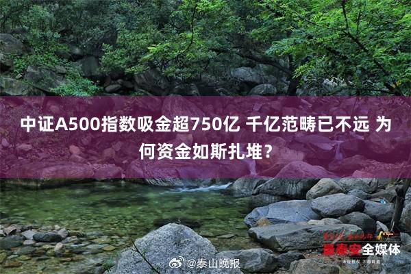 中证A500指数吸金超750亿 千亿范畴已不远 为何资金如斯扎堆？