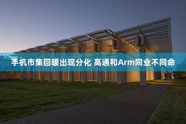 手机市集回暖出现分化 高通和Arm同业不同命