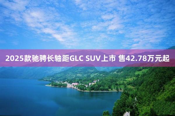 2025款驰骋长轴距GLC SUV上市 售42.78万元起