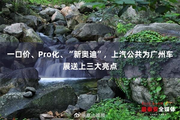 一口价、Pro化、“新奥迪”，上汽公共为广州车展送上三大亮点